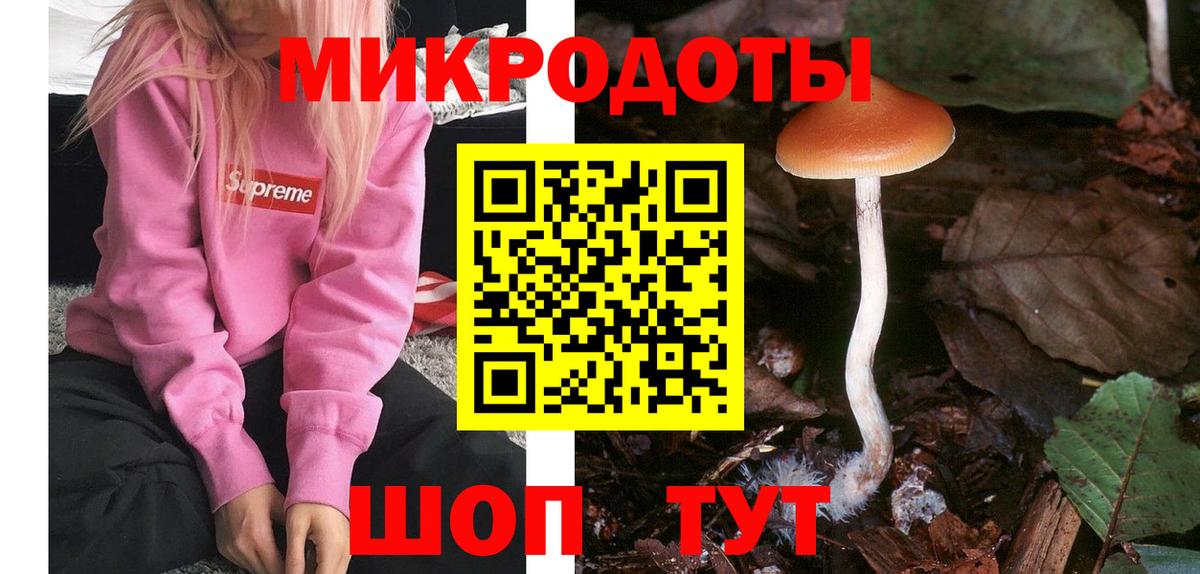 Скопин  Псилоцибиновые грибы GOLDEN TEACHER  Вход с VPN  Псилоцибиновые грибы MAGIC MUSHROOMS 